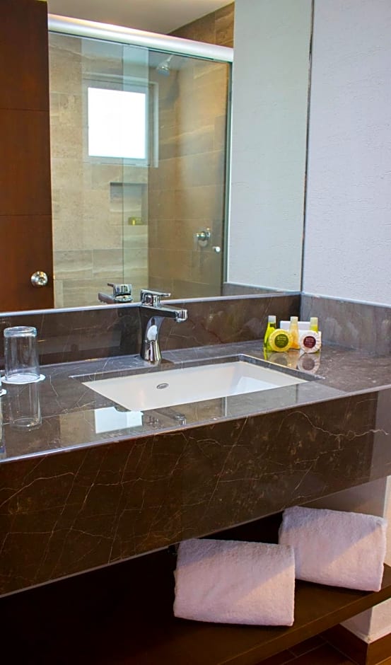 Eco Hotel Guadalajara Expo