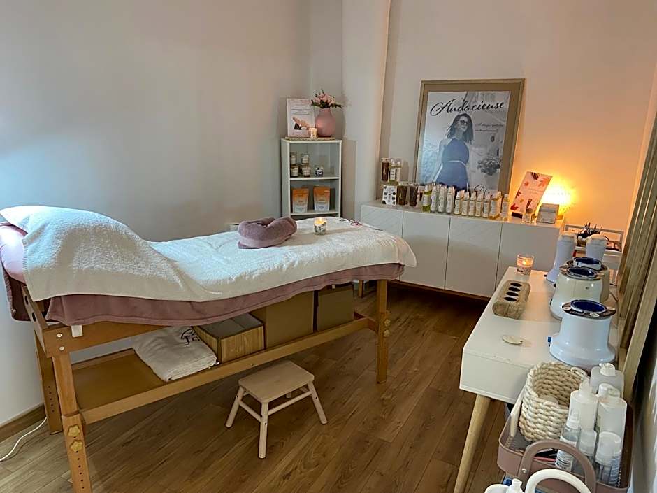 Logis Hôtel Restaurant SPA Le Tosny