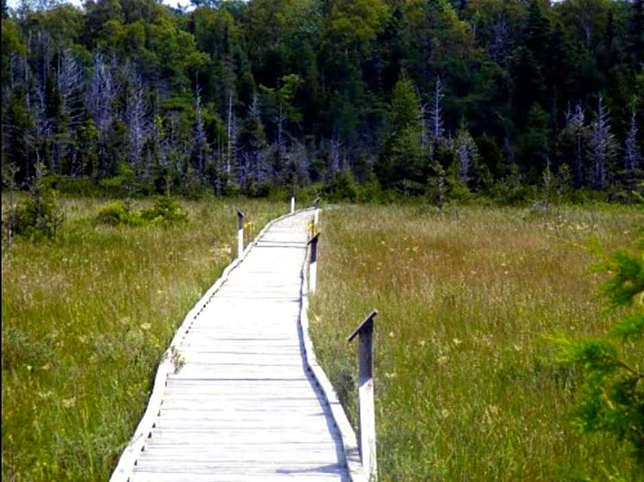 The Louise - Artistic Haven by the Beach