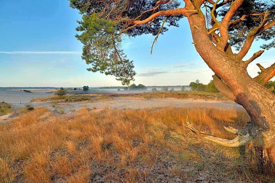 DreamZzz Boutique B&B Kaatsheuvel