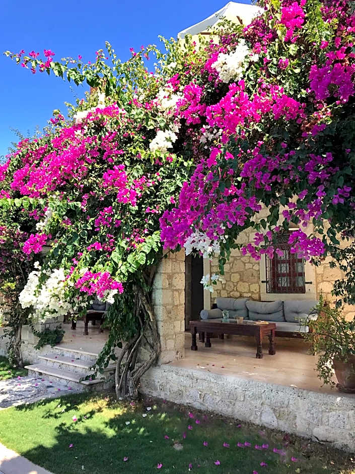 Alacati Zeytin Konak Hotel