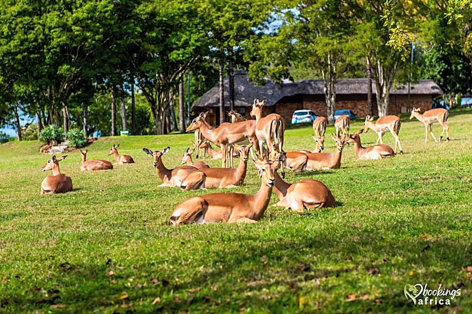 Kruger Park Lodge Unit No 252 with private pool