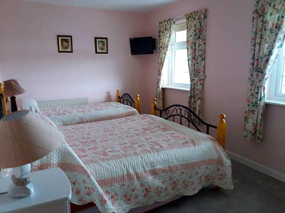 Villa Pio Accommodation Cong