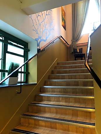 Single Bed in Mixed Dormitory Room