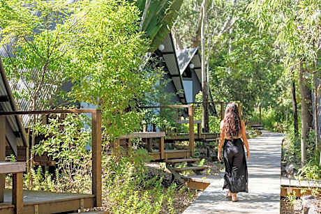 Bounce Magnetic Island and Koala Park