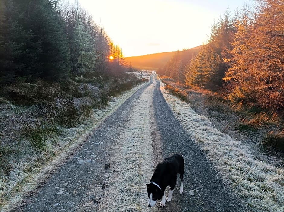 Meadowsweet Forest Lodge