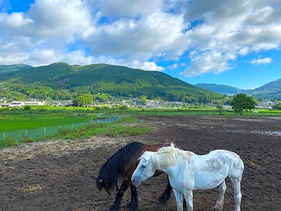 Yufuin Ryokan Nogiku