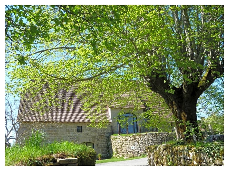 A L'Ombre du Tilleul