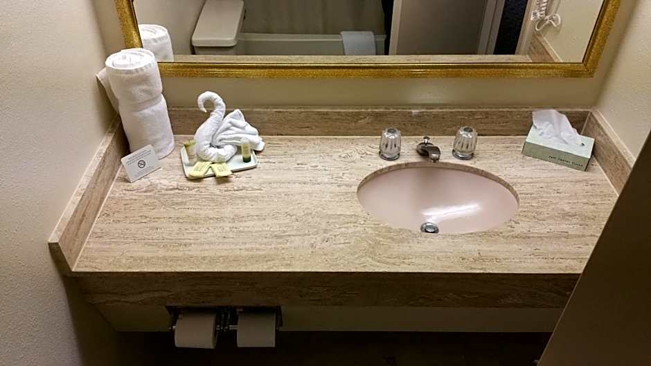 Imperial Swan Hotel & Suites – Lakeland, FL