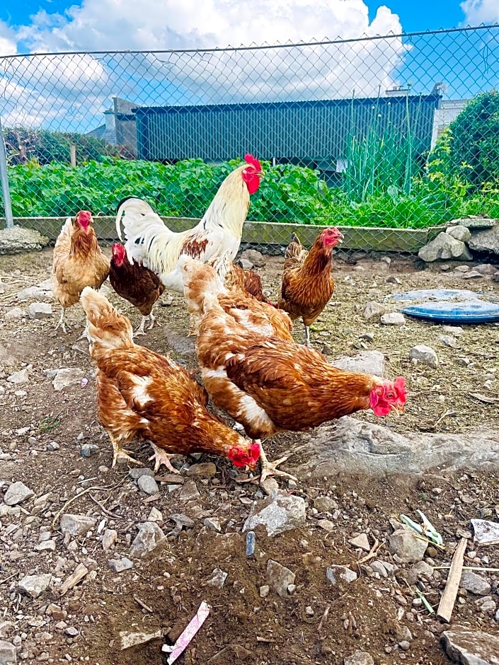 Cedar Lodge Self Catering Accommodation H91 CF9D