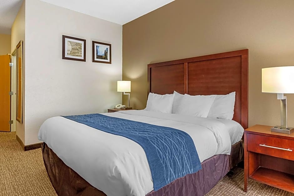 Comfort Inn Downtown - University Area