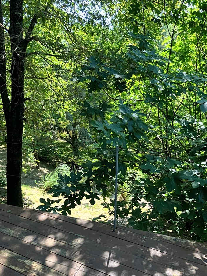 CASA RIO VEZ - Riverfront