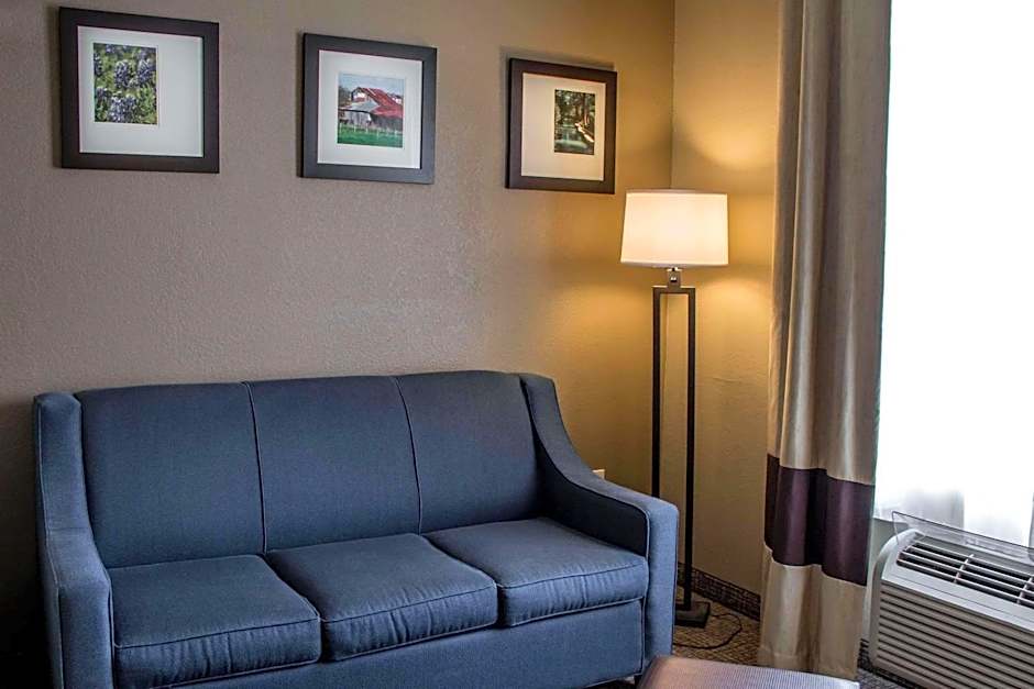 Comfort Suites New Braunfels - San Antonio Area