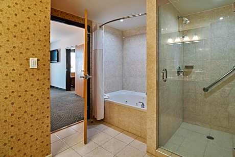 1 King Bed, Superior Suite, Non-Smoking (SNK3)