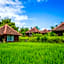 Ubud Sawah Scenery Villa and Homestay