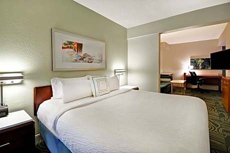 King Studio with Sofa Bed and Adapted Tub - Mobility and Hearing Accessible