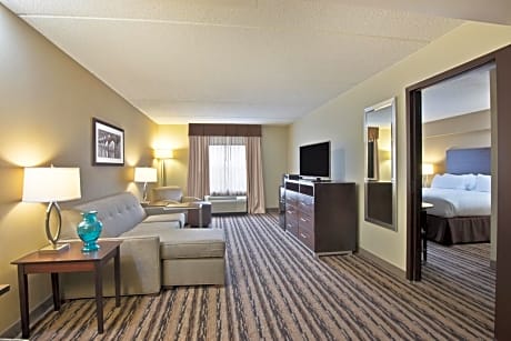 One-Bedroom King Suite