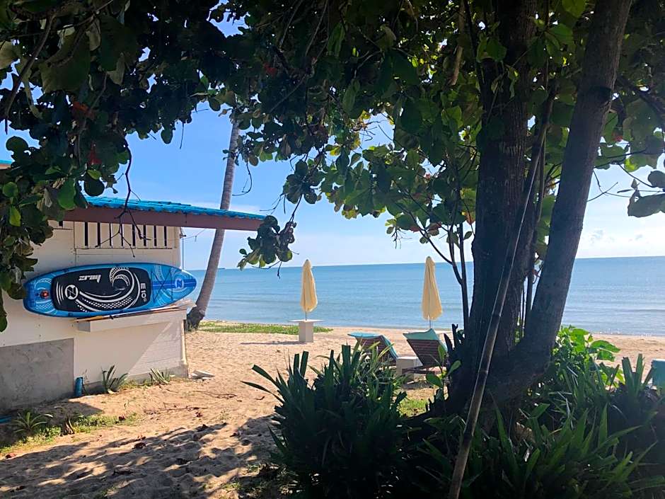 Le Petit Saint Tropez