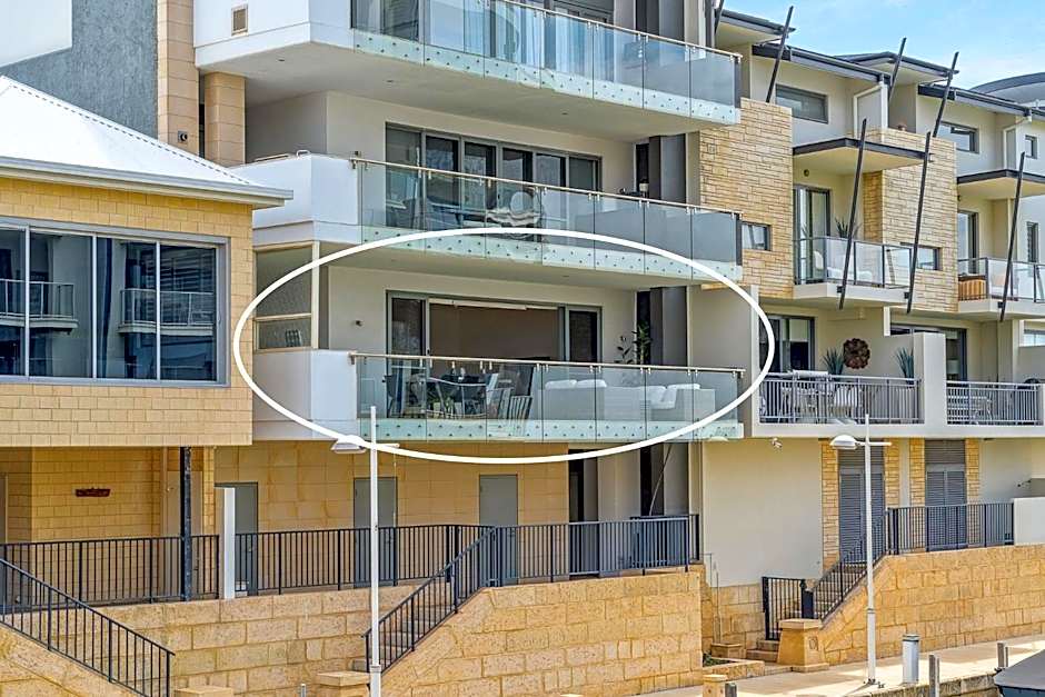 Little Italy Dolphins