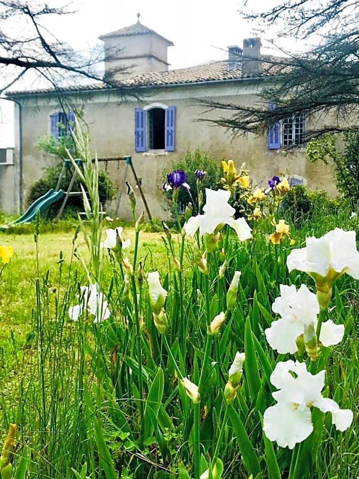Domaine Mas Pigné