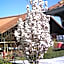 Hotel Marianne und Restaurant Kiek In