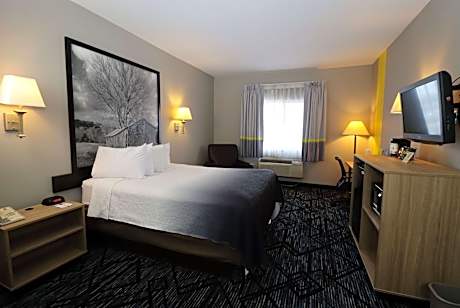 1 Queen Bed Non-Smoking