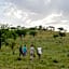 Serengeti Serena Safari Lodge