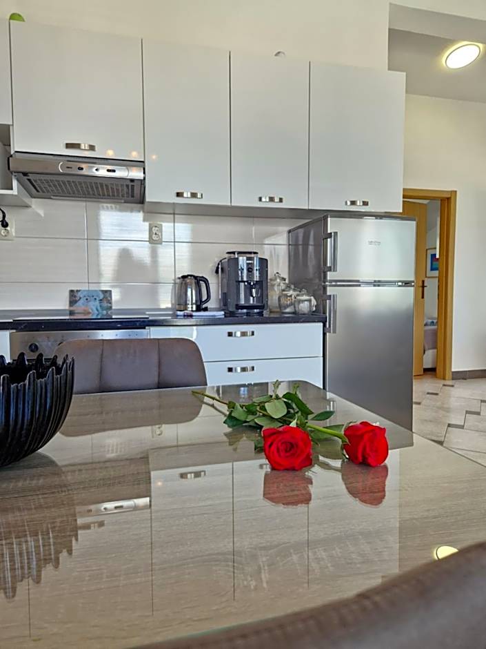 Luxury Apartments Silva with sea view