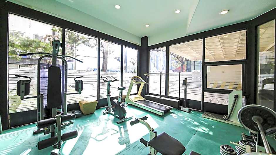 Metro Tourist Hotel Cheonan