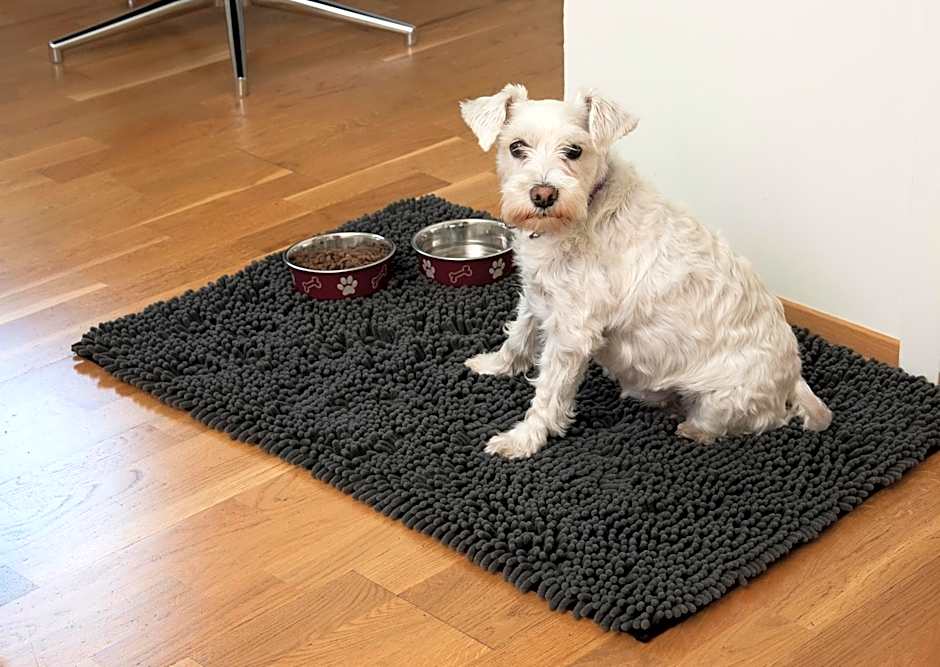 Lavik Fjord Hotel & Apartments