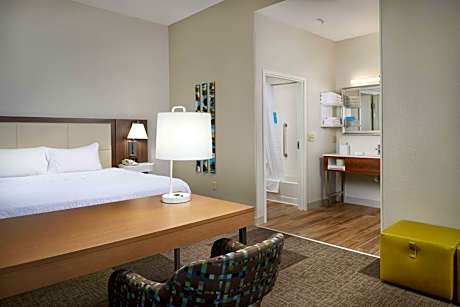 Non-Smoking King Studio Suite with Sofa Bed