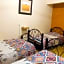 Los Nardos Hostel
