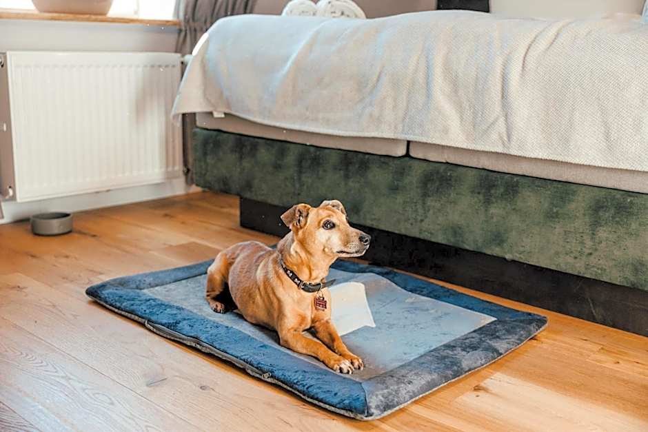 Schlosshotel Brilon-Wald