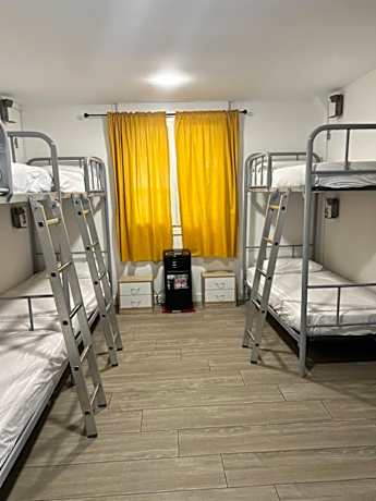 Bunk Bed in Mixed Dormitory Room