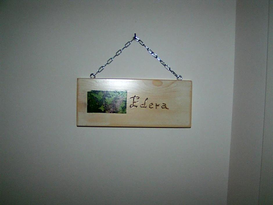 il leccio
