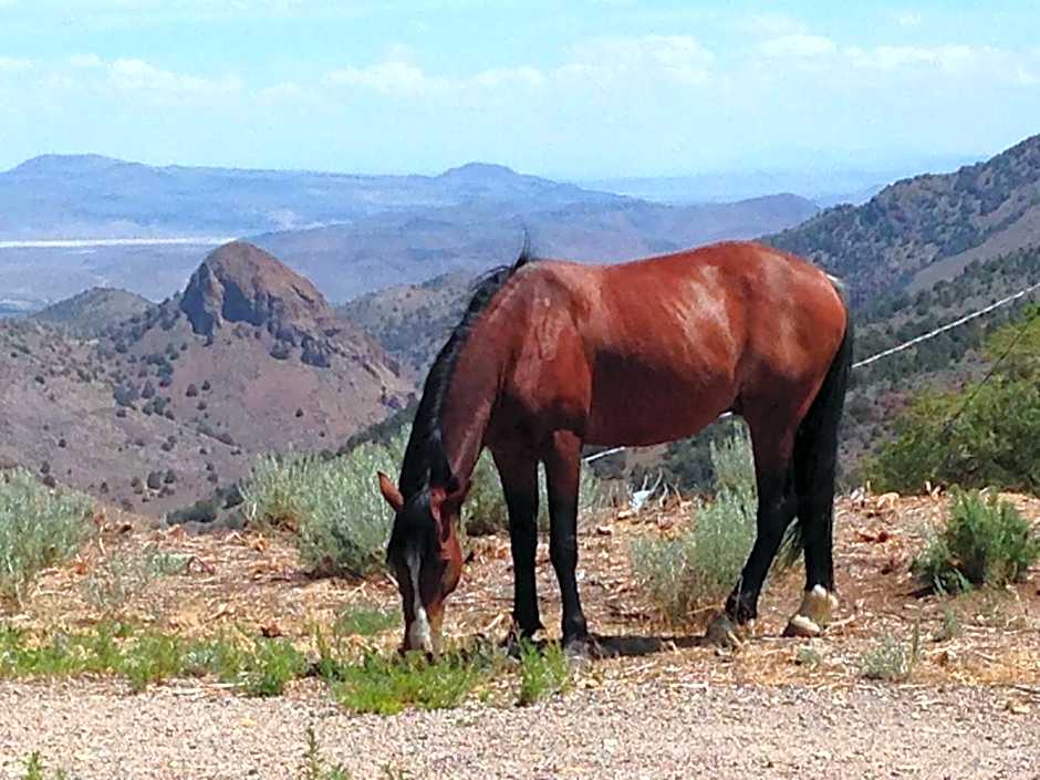 Sugarloaf Mountain Motel
