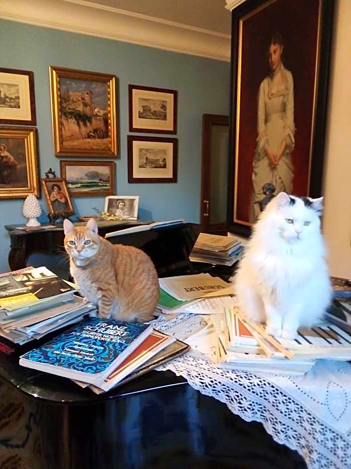 terrazze di montelusa