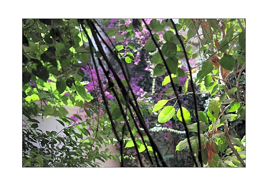 Riad Maryam Taroudant