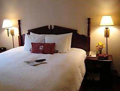 Suite King Bed