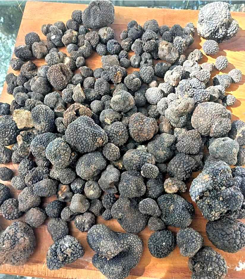 1929 Wine Food Relax Agriturismo