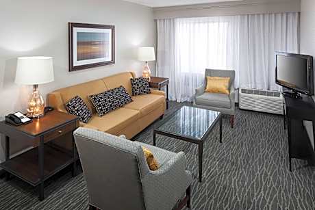 1 Bedroom Deluxe Suite, 1 King