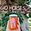 Gio Horses B&B