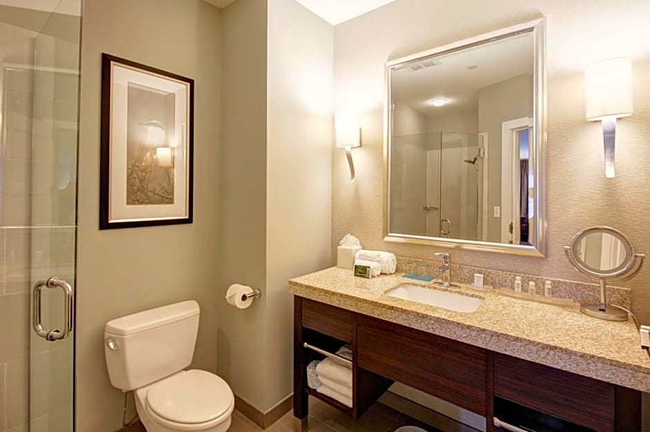 Hotel Indigo Waco-Baylor By IHG