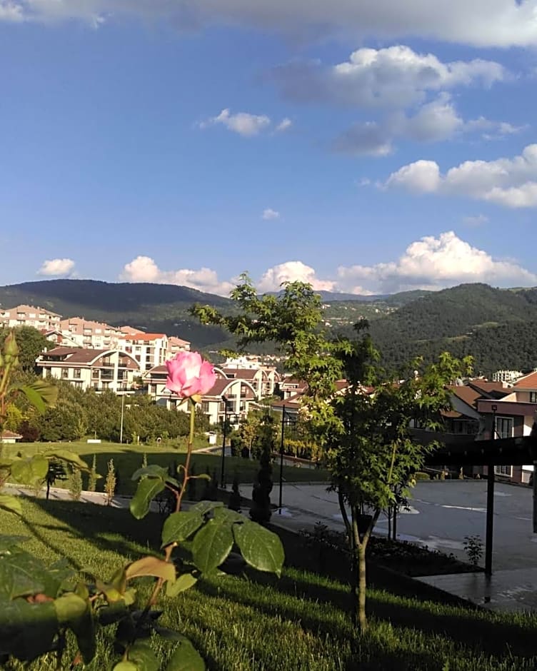 Itu Evi Bursa