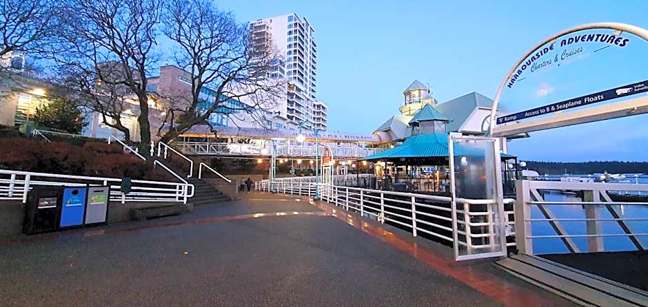 Painted Turtle Guesthouse