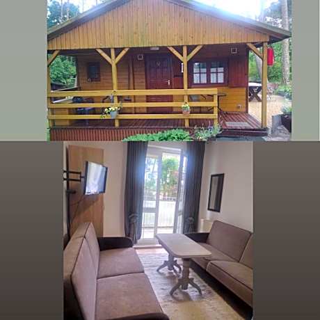 Apartament MONA przy morzu, na parterze,ul Żeromskiego,przy centrum