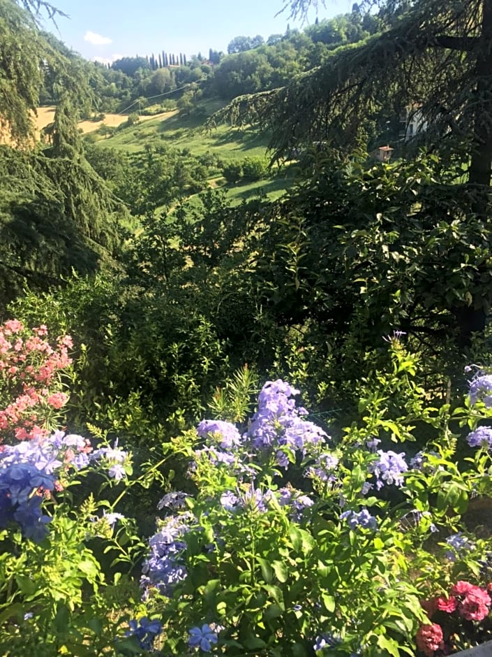 B&B Monte Donato – Bologna, KY