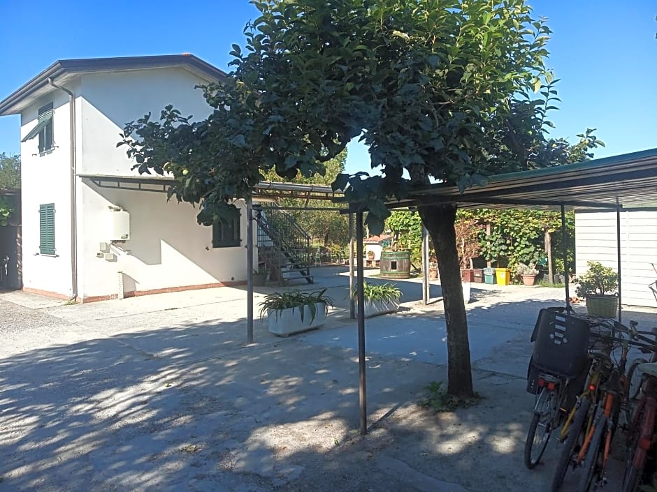 Nonna Piera – Marina di Carrara, WI