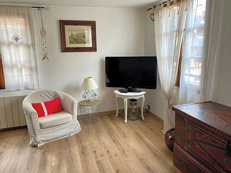 Gîte de caractère au calme , proche quartier historique, Au Merlenchanteur