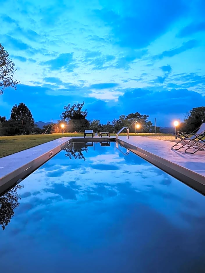 Theresa sulla Collina